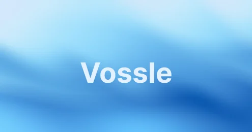 VossleAR No Code AI